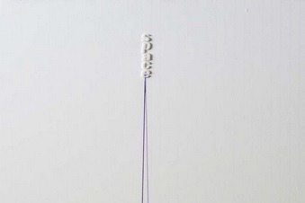 Exposition de Fernanda FEDI